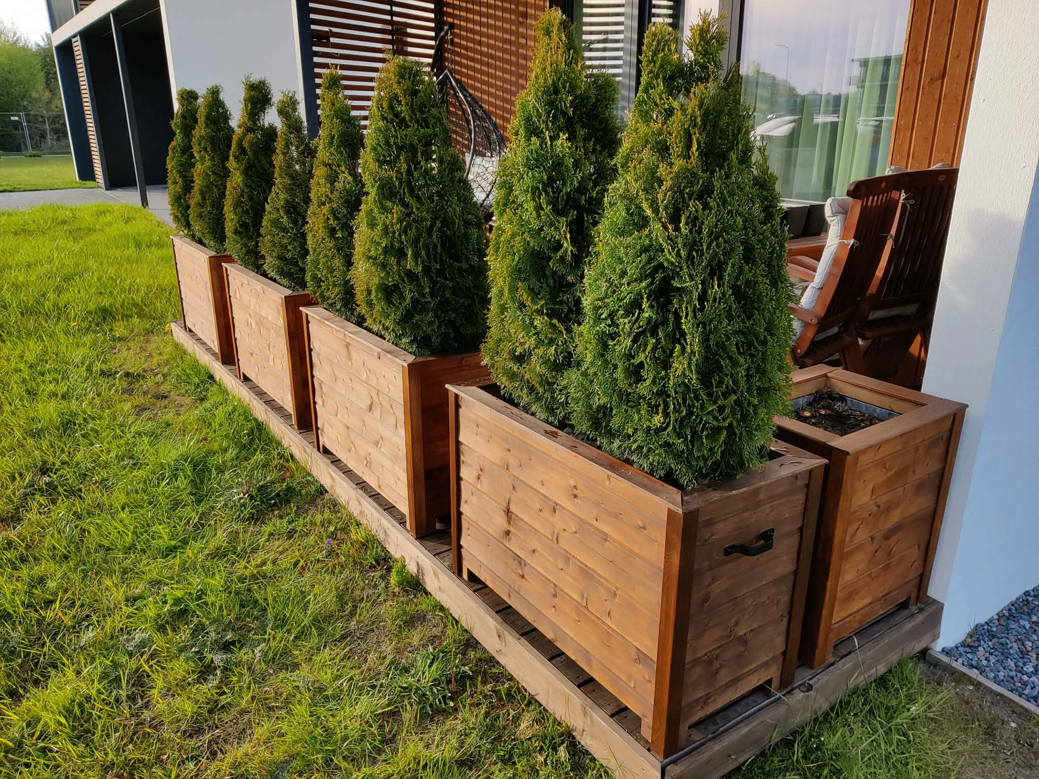 Elupuukast välivaade